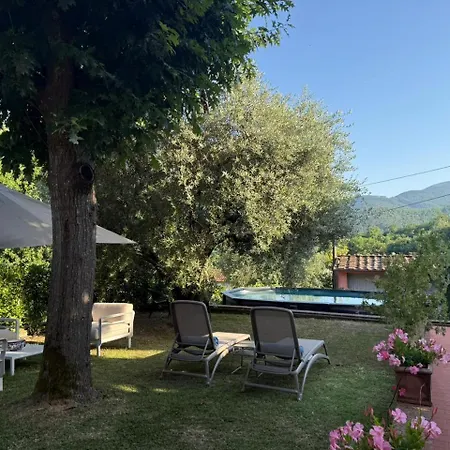 The Olive House