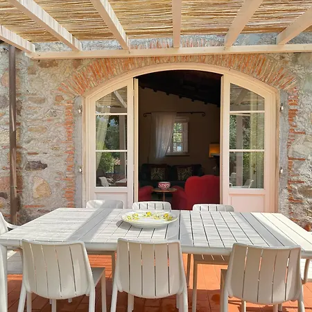 The Olive House * Lucca