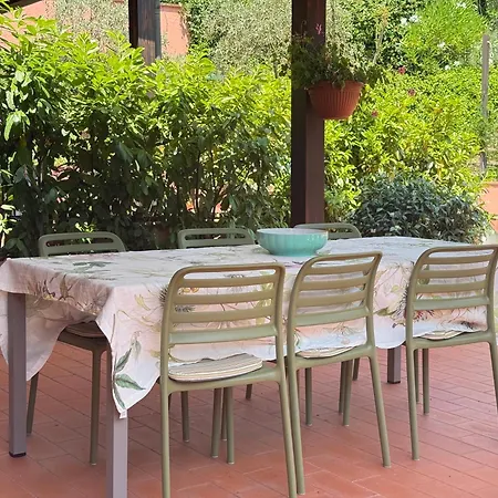 The Olive House Holiday home