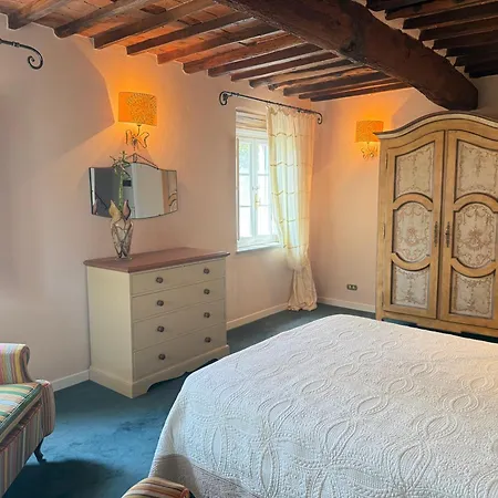 The Olive House Holiday home Lucca