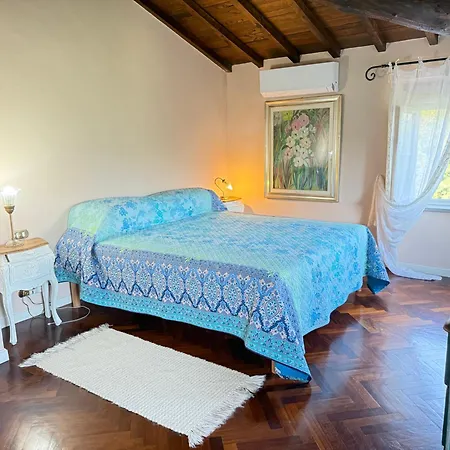 The Olive House Holiday home Lucca